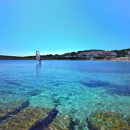 Festa D'estate 费尔蒂利亚