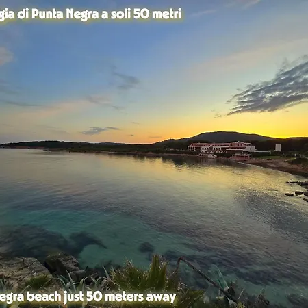 Festa D'estate 公寓 *